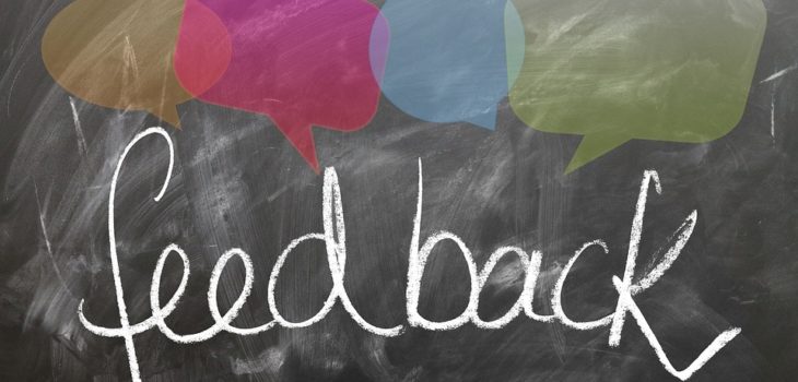 An image of the word 'feedback' on a chalkboard